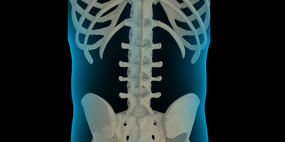 Difference Between an Orthopedic Spine Surgeon and a Chiropractor - Pic